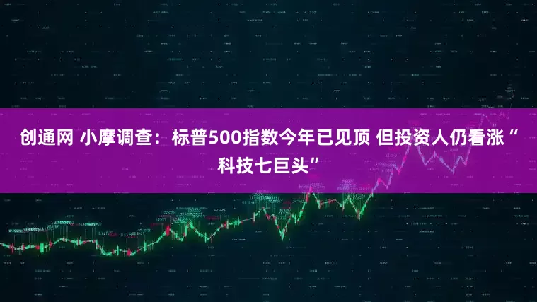 创通网 小摩调查：标普500指数今年已见顶 但投资人仍看涨“科技七巨头”