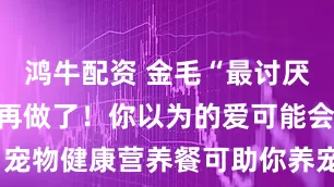 鸿牛配资 金毛“最讨厌”的行为别再做了！你以为的爱可能会是伤害，宠物健康营养餐可助你养宠正确关爱_零食_衣服_奖励