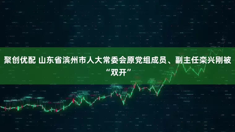 聚创优配 山东省滨州市人大常委会原党组成员、副主任栾兴刚被“双开”